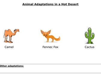 Hot Deserts Adaptations: Worksheets and Information