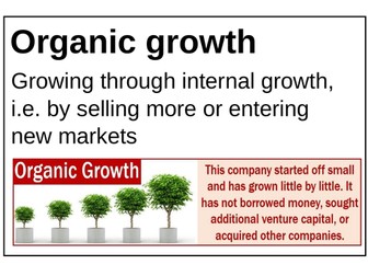 Edexcel GCSE Business Theme 2  Key words