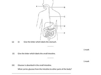 Organ systems test