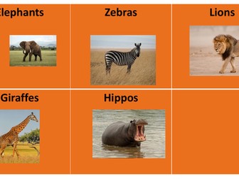 African Animals Colourful Semantics