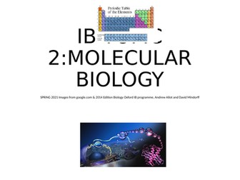 IB Molecular Biology topic 2