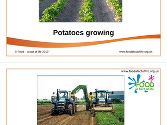 Potatoes - the journey