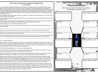 The Curious Incident of the Dog in the Nighttime - Reading Comprehension - Character