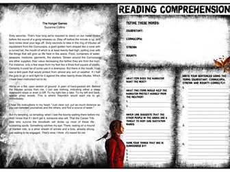 The Hunger Games - Reading Comprehension Sheet - A3