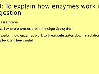 Enzymes - Nutrition and Digestion