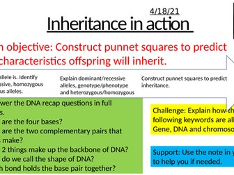 Inheritance in Action