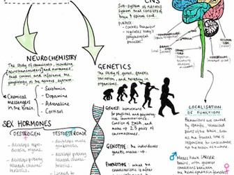 Psychology Biological Approach - Assumptions