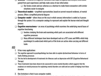 Cognitive Approach Essay Plan