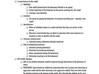 Social Learning Theory Approach Essay Plan