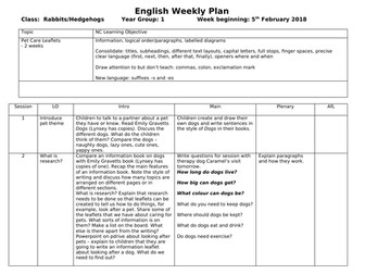 Pet care leaflet planning year 1