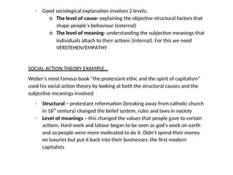 Weber's Social Action Theory