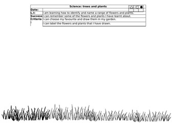 Year 1 trees and plants module