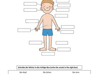 Der Körper - Arbeitsblatt