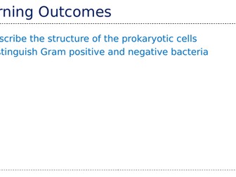 Y12/13 Gram staining presentation