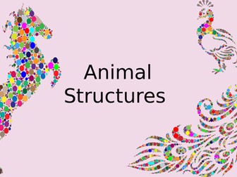 Animal Structures - Labelling and Describing