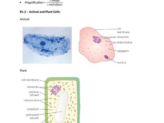 Biology Revision (B1 - B9)