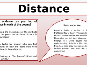 Comparison of Farmer's Bride and Winter Swans