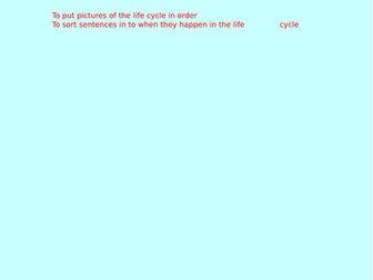 Year 5 Science Animals inc. Humans Medium Term Planning including Slides and End of Topic Assessment