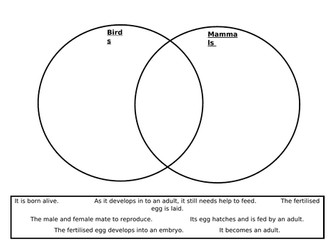 Year 5 Science Living Things and Habitats Worksheet Comparing Bird and Mammal Life Cycles