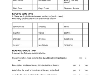 Reading Comprehension Bundle (42)