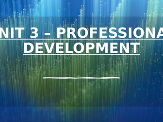 BTEC Unit 3 - Professional Development