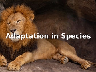 power point presentation- Adaptation in Species