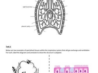 AQA Biology GCSE Organisation in Animals / Animal tissues, organs & organ systems