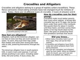 Crocodiles and Sharks Non chronological guided reading