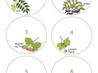 Natural Display Circle Labels-  British Botanical Theme