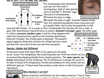 Genetics and Inheritance