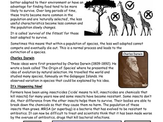 Evolution and Natural Selection