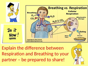 AQA GCSE Science - Respiration