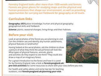 Geography in the forest lesson plan KS1
