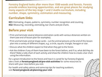 Maths in the forest lesson plan KS1 and KS2