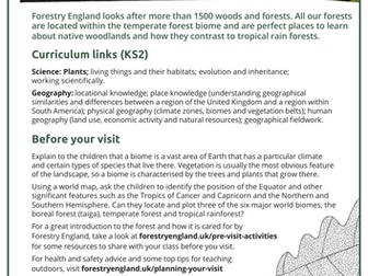 Temperate forests lesson plan KS2
