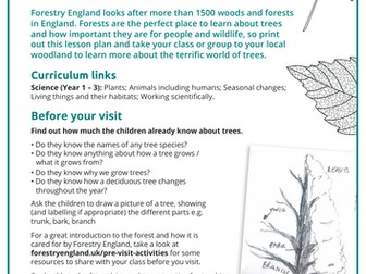 Terrific trees lesson plan KS1 and KS2