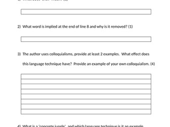 Ill Manors English/Music Cover Lesson