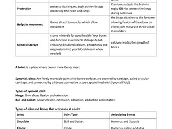 GCSE Skeletal System revision notes