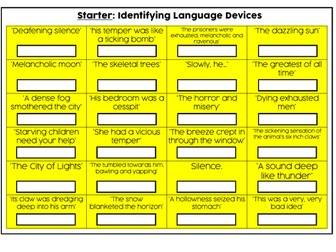 Language Devices: Identification Starter Activity