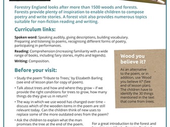 English in the forest lesson plan KS2