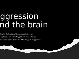 Applied Psychology Unit 4 Bio approach to explaining aggression - Role of Amygdala