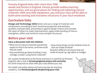 Natural materials - structures in the forest lesson plan KS2