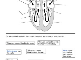 KS4 Biology