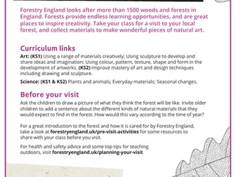 Natural materials - art in the forest lesson plan KS1 and KS2
