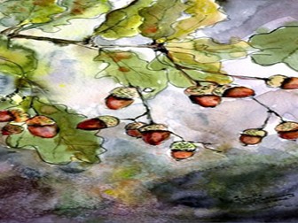 Computer Engineering Degree Online