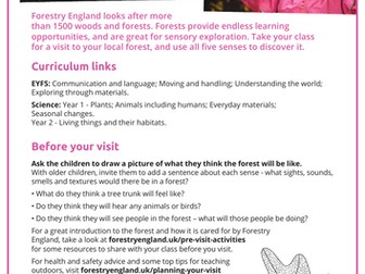 Exploring with your senses in the forest lesson plan EYFS and KS1