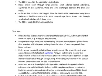 Blood Brain Barrier