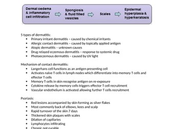 Eczema and Psoriasis