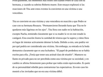 Como Agua Para Chocolate Essay Tita suffering