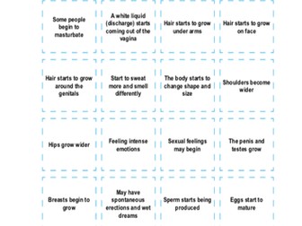 Puberty - RSE/PSHE